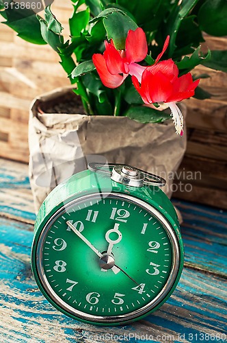 Image of symbol of spring green clock and blossoming flower