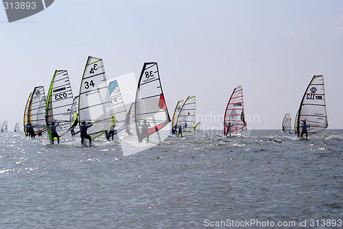 Image of Windsurfing