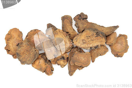 Image of Chinese Rhubarb Root