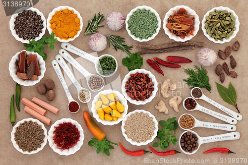 Image of Herb and Spice Ingredients
