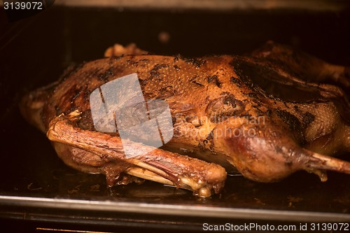 Image of roasted goose 