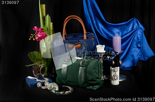 Image of Fashionable handbag composition 