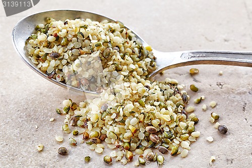 Image of hemp seeds 