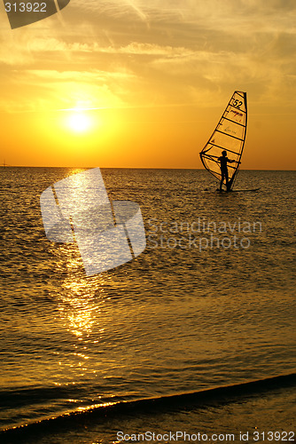 Image of Windsurfing