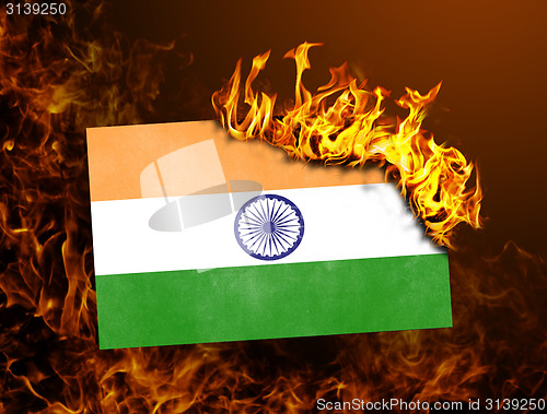 Image of Flag burning - India