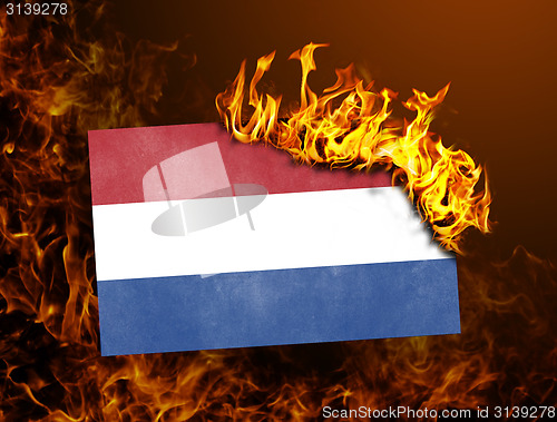 Image of Flag burning - Netherlands