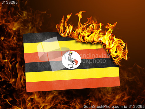 Image of Flag burning - Uganda