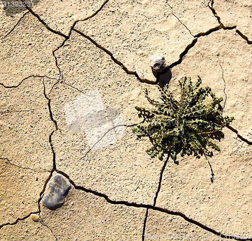 Image of brown dry sand in sahara desert morocco africa erosion and abstr