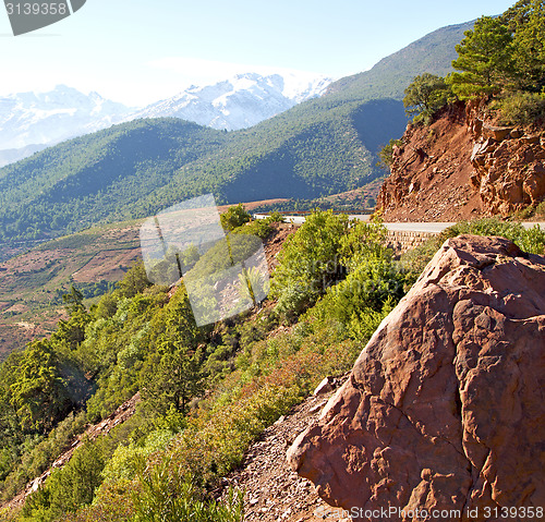 Image of the    dades valley in atlas moroco africa ground tree  and nobo