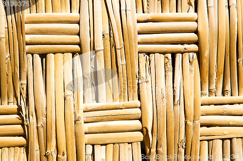 Image of texture bamboo in morocco  