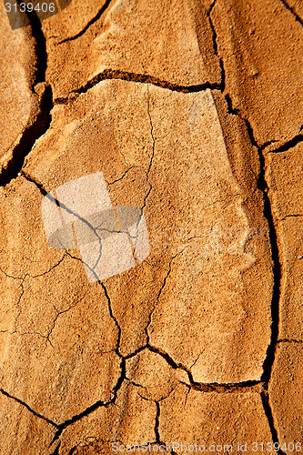 Image of abstract texture of a broke dry sand and lichens 