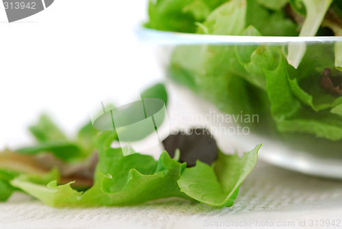 Image of Baby greens