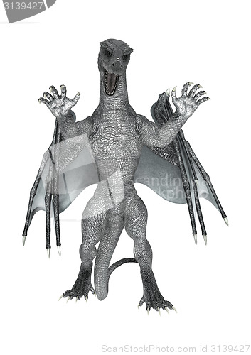 Image of Fantasy Dragon