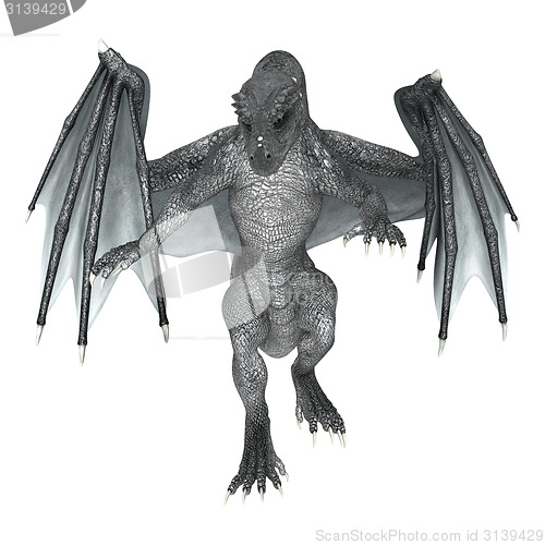 Image of Fantasy Dragon