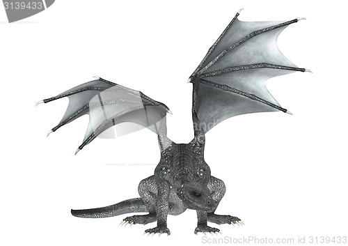 Image of Dragon