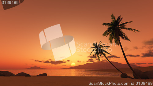 Image of sunset palm tree