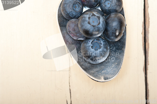 Image of fresh blueberry on silver spoon