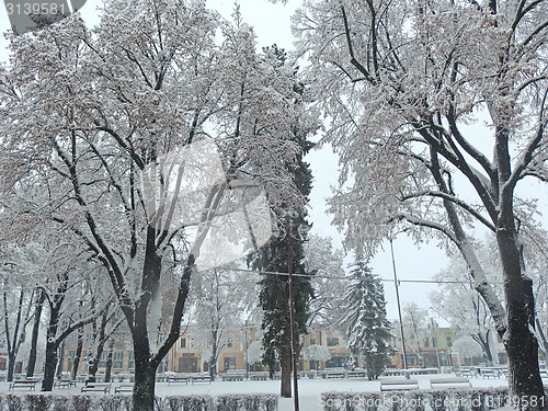 Image of Snowing