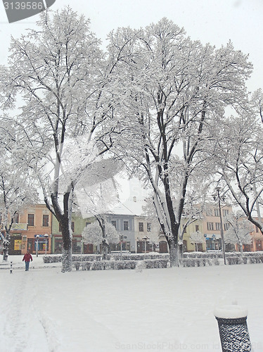 Image of Snowing