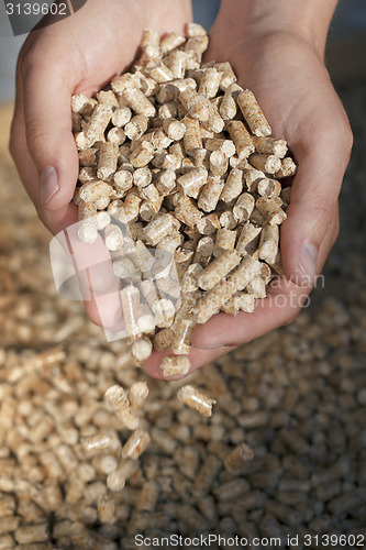 Image of Wood Pellets