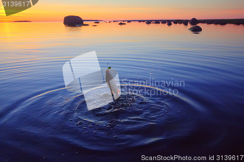 Image of Sunset river perch fishing with  a rod