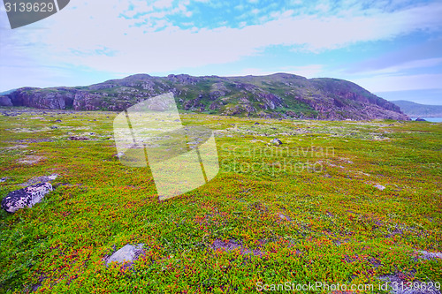 Image of polar hills Scandinavian tundra in summer