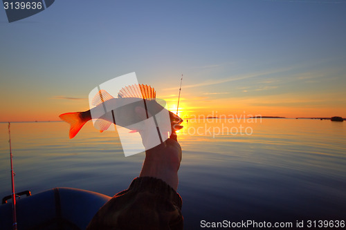 Image of Sunset river perch fishing with the boat and a rod