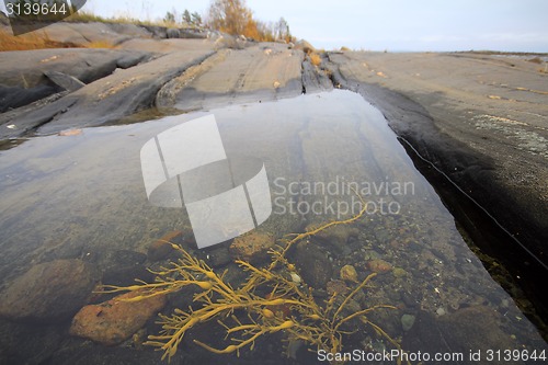 Image of Rocky bath in  sea after low tide