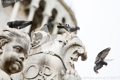 Image of Pigeons on statue