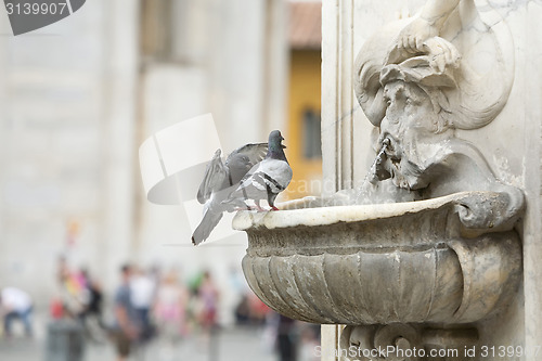 Image of Two pigeons standing on water fountain