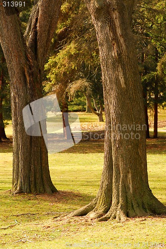 Image of Park