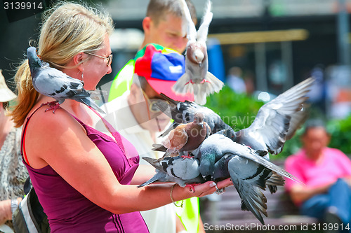 Image of Woman holding pigeons in hands