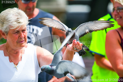 Image of Woman holding pigeon