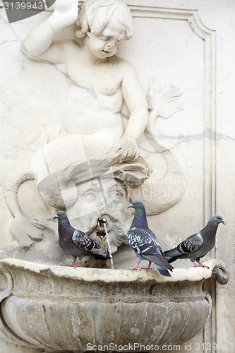 Image of Three pigeons on water fountain