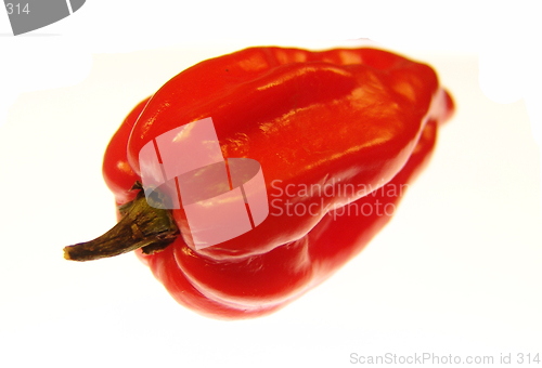 Image of Red pepper