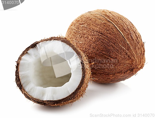 Image of coconut on a white background