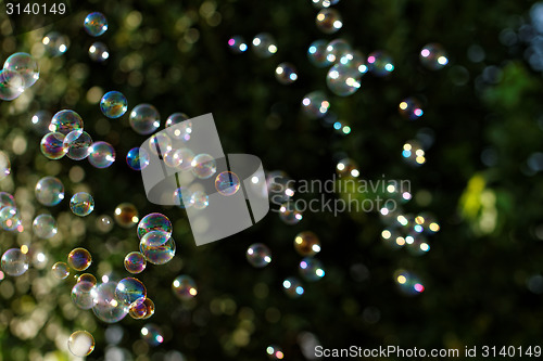 Image of Soap bubbles