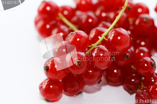 Image of Red currant