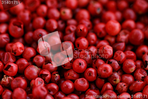 Image of Pink Pepper