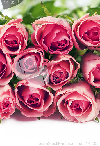 Image of roses