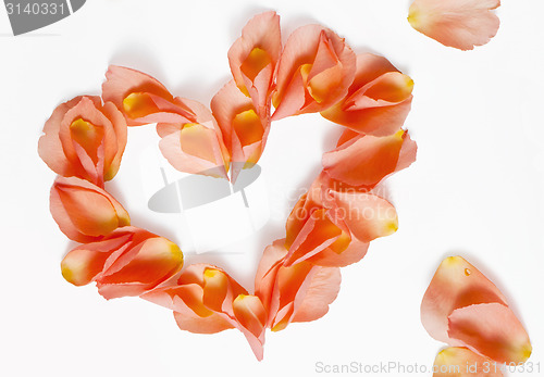 Image of rose petals (heart shape)