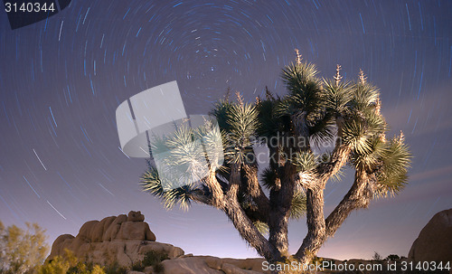 Image of North Star Trails Long Exposure Astronomy Joshua Tree Night Sky