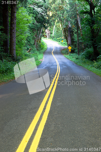 Image of Curvy Scenic Byway Highway Meanders Through Hoh Rainforest