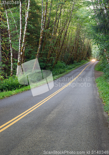 Image of Asphalt Road into Hoh Rain Forest Olympic National Park