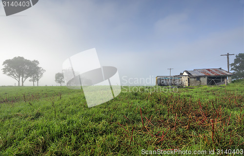 Image of Misty Morning at Brundee