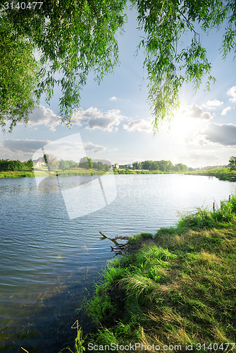 Image of Grass near river