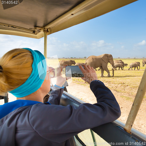 Image of Woman on african wildlife safari.