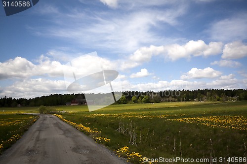 Image of country road