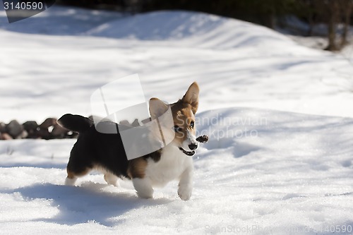 Image of playing with a cone