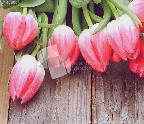 Image of Spring Tulips